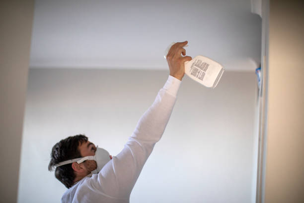 Best White Mold Remediation in Lake Odessa, MI